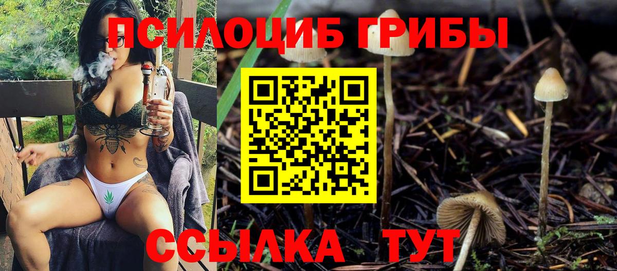 Димитровград  Галлюциногенные грибы GOLDEN TEACHER  сколько стоит  Вход с VPN 